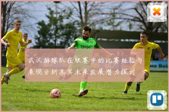 武汉排球队在联赛中的比赛经验与表现分析及其未来发展潜力探讨