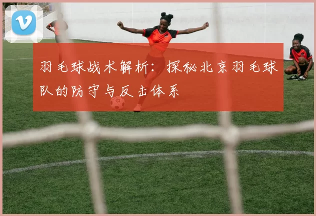 羽毛球战术解析：探秘北京羽毛球队的防守与反击体系