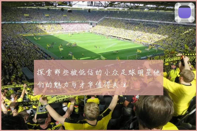 探索那些被低估的小众足球明星他们的魅力与才华值得关注