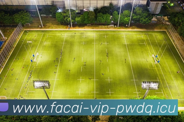 App Interface Preview