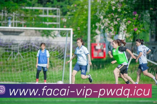 乐鱼体育APP 封面图